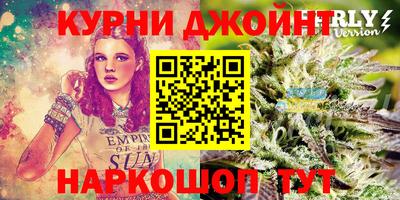 гидра Лесосибирск