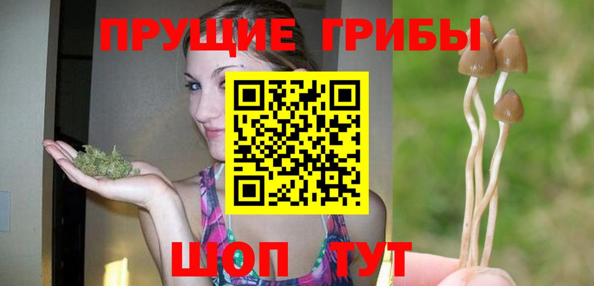Галлюциногенные грибы мухоморы Дубна