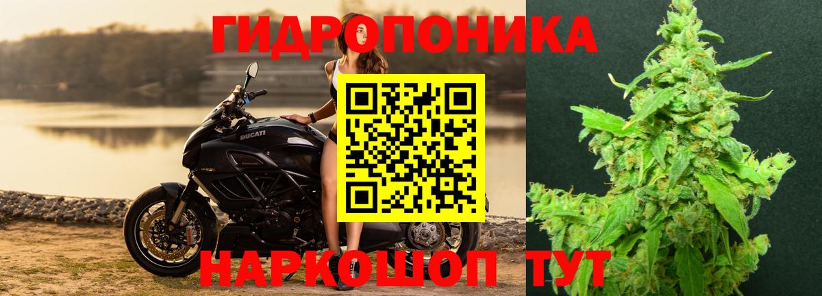 Дубна  Бошки Шишки THC 21%  Вход с VPN  МАРИХУАНА индика  МАРИХУАНА Bruce Banner  Бошки марихуана White Widow 
